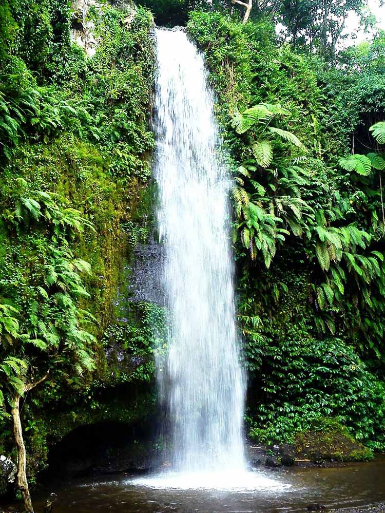 Awet Muda Di Air Terjun Benang Stokel  Dan Benang  Kelambu